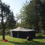 Die Jurte neben der noch jungen Stammeseiche (rechts)