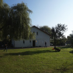 Viel Platz zum Toben