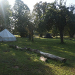 Viel Platz für Zelte