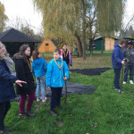 Wir bauen eine Kröte