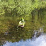 Und es schwimmt, das Floß!