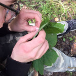 Mit viel Genauigkeit geht es an die Sache