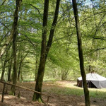 auch die Jurte wollte es probieren!