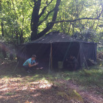 Am nächste Morgen ...