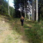 Auch ein Spaziergang durch den Wald durfte nicht fehlen