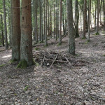 Aufgeräumt haben wir auch noch