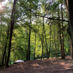 Der Lagerplatz in Roßbach