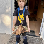 Ja, es ist ein Baumpilz